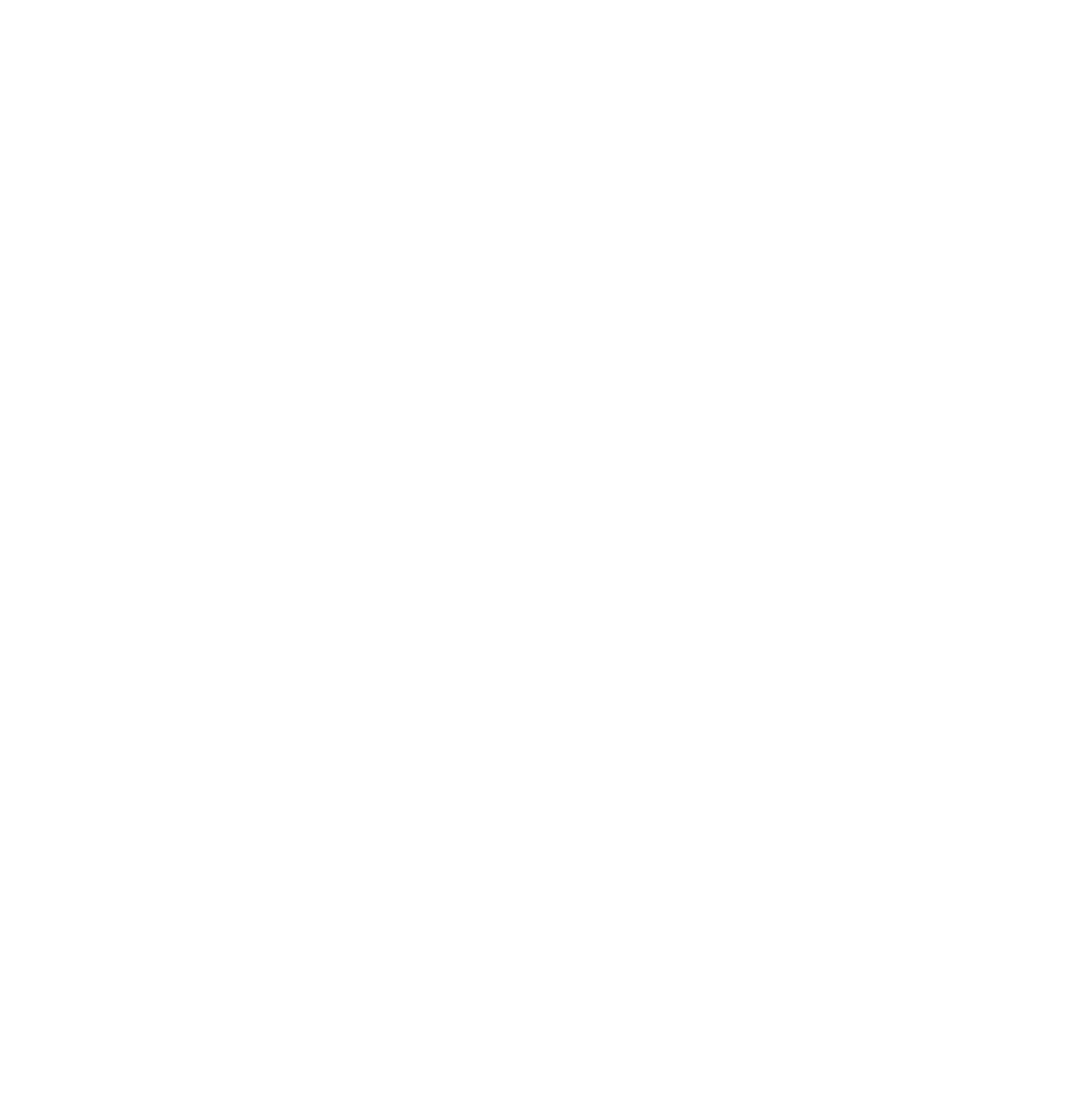 System Innovation Group